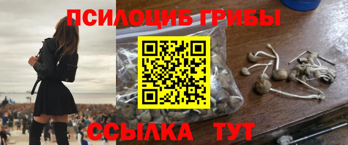 Галлюциногенные грибы MAGIC MUSHROOMS Нарьян-Мар
